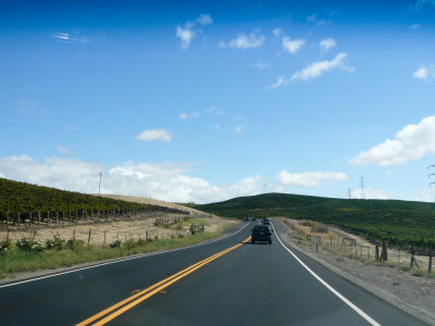 P1050061-7.jpg