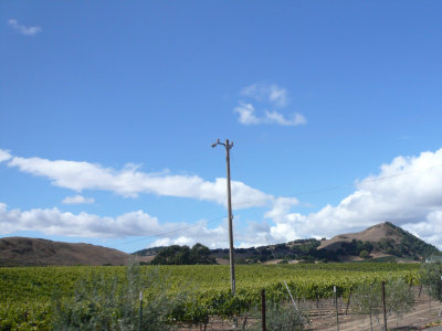 P1050064-8.jpg