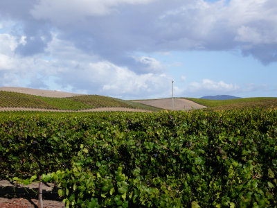 P1050073-14.jpg