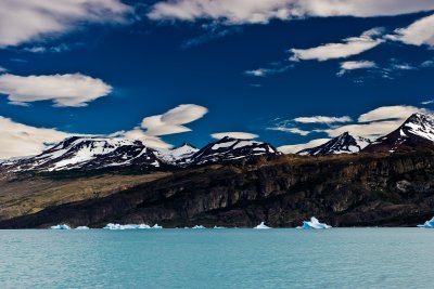 IMG_4019.jpg