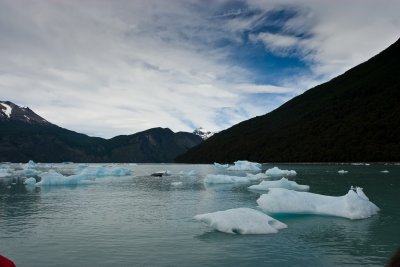 IMG_4054.jpg