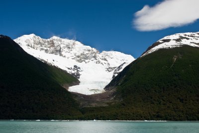IMG_4165.jpg