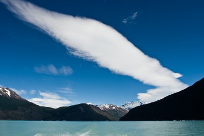 IMG_4171.jpg