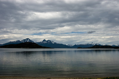 IMG_4698.jpg