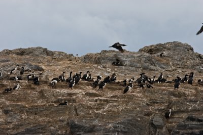 IMG_4742.jpg