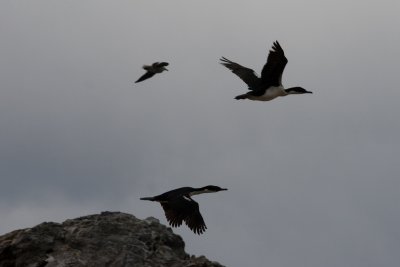 IMG_4755.jpg