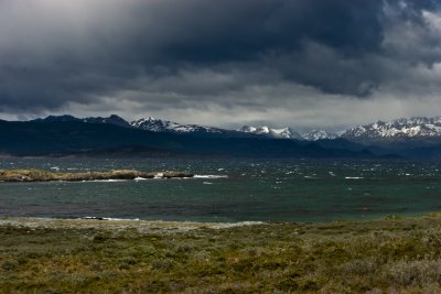 IMG_4804.jpg