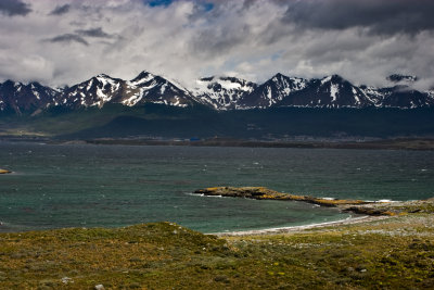 IMG_4816.jpg