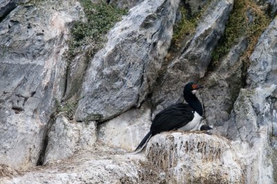 IMG_4836.jpg