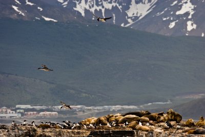 IMG_4899.jpg