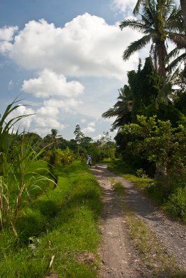 Central Bali-037.jpg