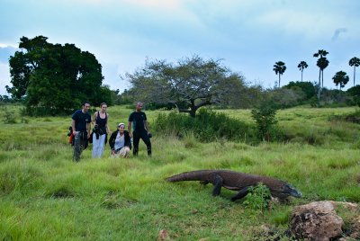 Komodo National Park-228.jpg