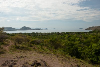 Komodo National Park-258.jpg