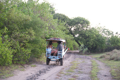 Gili Trawangan-286.jpg