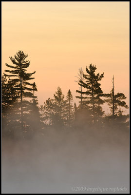 _ADR2032 early morning mist cwf.jpg