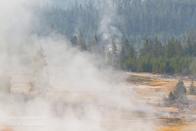 _MG_9547 Yellowstone w.jpg