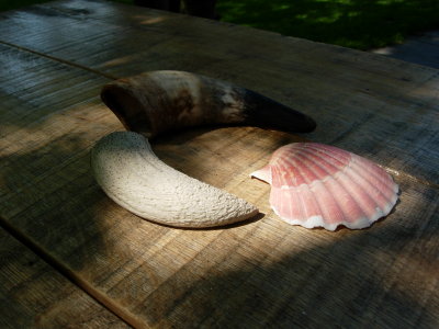 still life