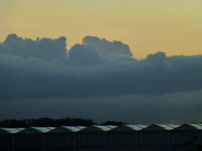 greenhouses