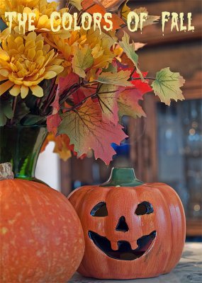 October 2008 Picture of the Month Entries