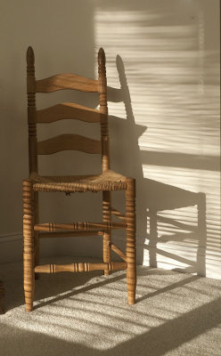 Shadow - February 2, 2009