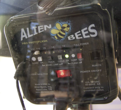 Alien Bee