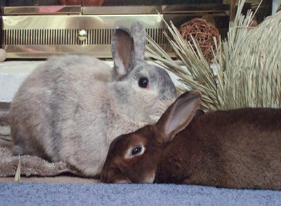 Harmony - March 1, 2009