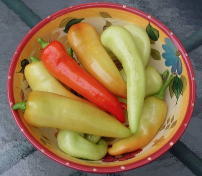 Harvest