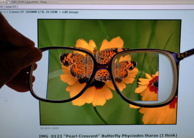 Eyeglasses