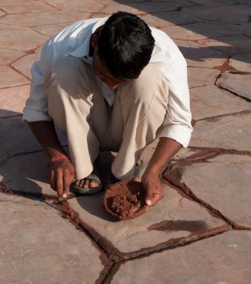 Repairs, Taj Mahal (3/3/09)