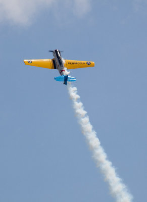 SNJ aerobatics