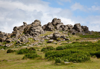 Hound Tor (7/6/09)
