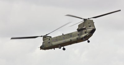 Chinook (7/17/10)