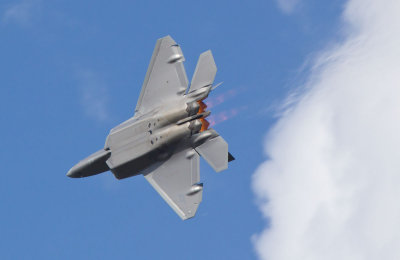 F-22A Raptor (7/17/10)