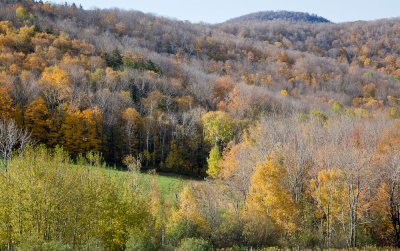 Vermont