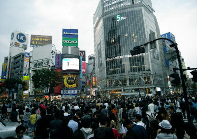 g1/25/325225/3/97417206.1F7uQDSO.jpg
