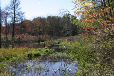  Pond along East side of pipeline