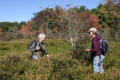  Lydia and Karen and wetland