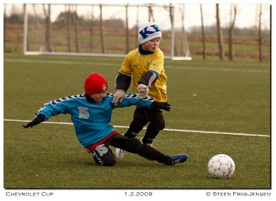 20090201153300_04.jpg