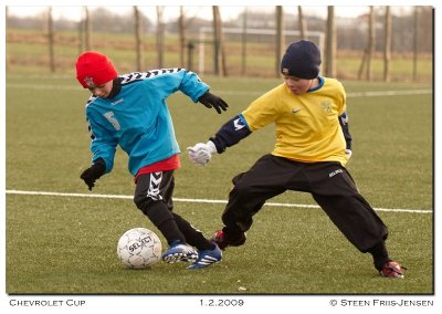 20090201153349.jpg