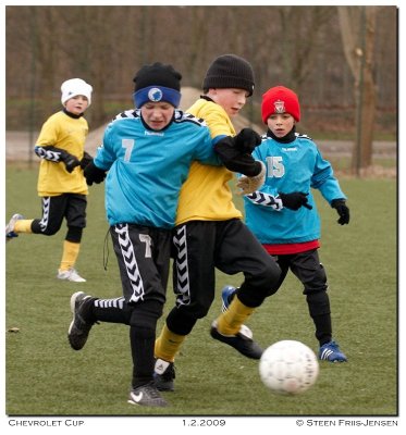 20090201154203_04.jpg
