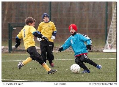 20090201154832.jpg