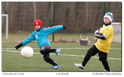20090201155149_01.jpg