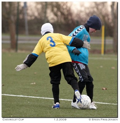 20090201155312.jpg