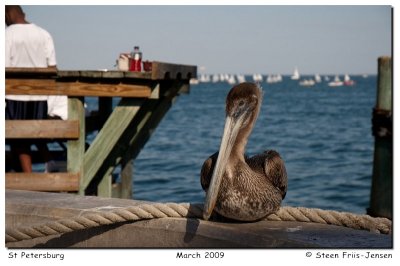 20090307221737.jpg