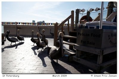 20090307222249.jpg