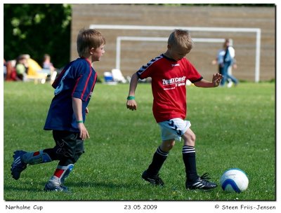 20090523104538_01.jpg