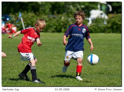 20090523110158_01.jpg