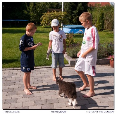 20090808102159.jpg