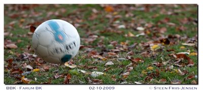 20091002175143_01.jpg