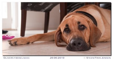 20100626164256.jpg